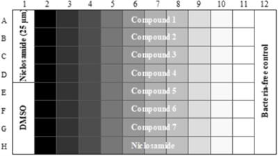 Novel Screen to Assess Bactericidal Activity of Compounds Against Non-replicating Mycobacterium abscessus